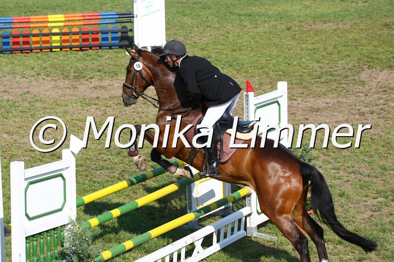 105M3276_Angels Boy_Spring_A.JPG